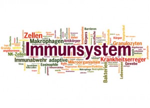 Immunsystem